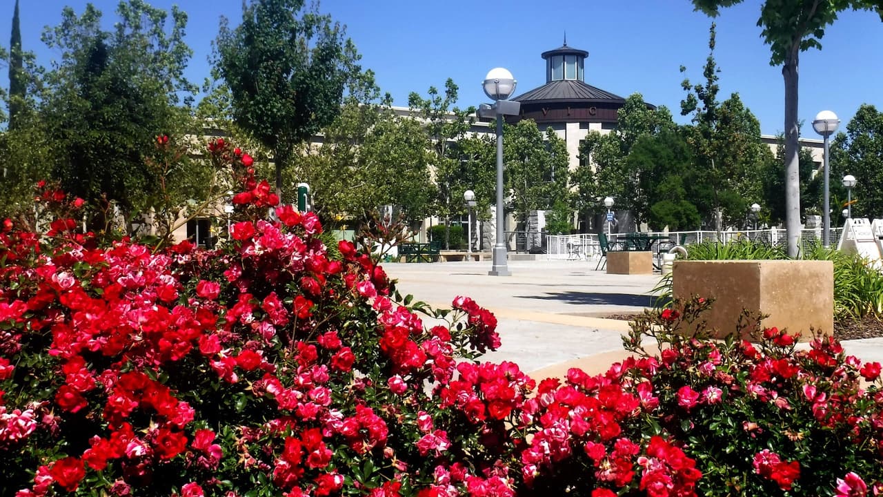 Regresan los conciertos gratuitos en Roseville a partir de hoy