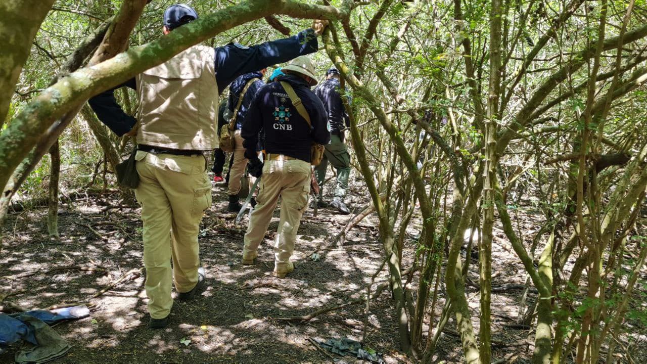 El hallazgo de restos, a la fecha, sólo se ha realizado en 
<b>una tercera parte del predio</b> que compone el lugar.