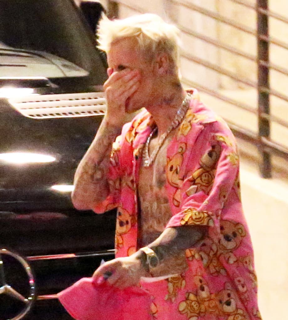 Esta semana, en medio de la grabación de su próxima producción discográfica en los Milk Studios de Hollywood, 
<a href="https://www.univision.com/famosos/justin-bieber-llora-en-publico-de-nuevo-mientras-selena-gomez-renace-el-luce-triston-fotos" target="_blank">Justin Bieber fue captado por los paparazzi limpiándose las lágrimas del rostro</a>. Los fotógrafos explican que, aparentemente, el cantante sufrió un colapso. La presión de entregar su nuevo álbum sería la razón de su aflicción.