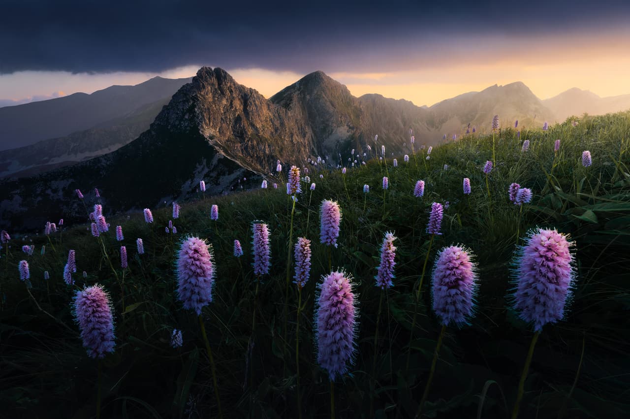 <b>‘Adiós al sol’</b>, ganadora en la categoría ‘jóvenes fotógrafos’ y finalista en la categoría ‘naturaleza desde la distancia’. Fue tomada en Yatras Oriental, Eslovaquia. 
<a href="https://www.univision.com/noticias/trending/desde-la-perspectiva-de-un-pajaro-las-increibles-fotografias-del-concurso-agora-2020-fotos"><u>Vea aquí las increíbles fotografías aéreas del concurso Agora 2020</u></a>