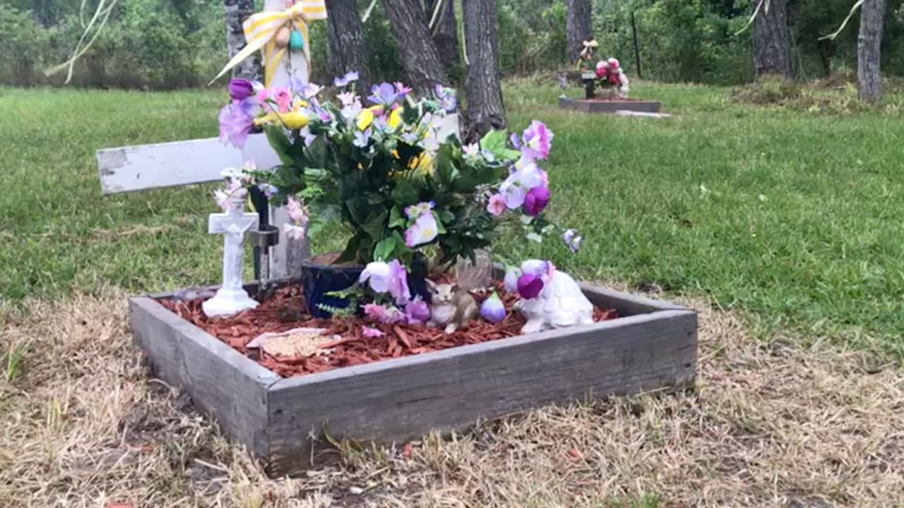 Organizan ceremonia en honor a las dos mujeres que fueron halladas en League City décadas atrás