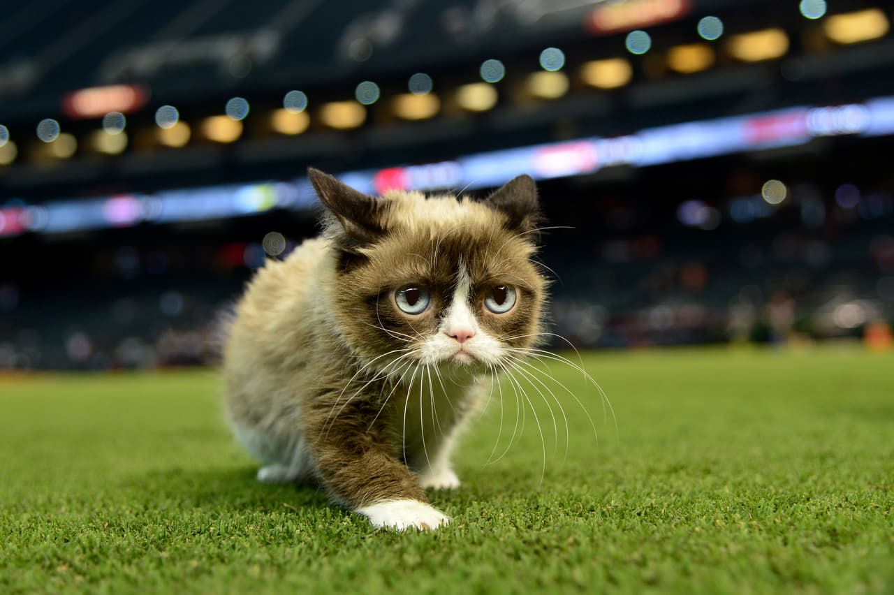 Pero igual así posó en medio del Chase Field.