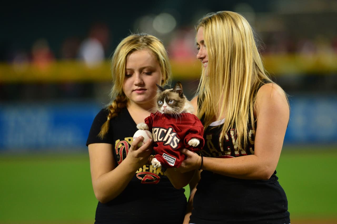 Grumpy no se molesta por tanta atención de las cámaras.