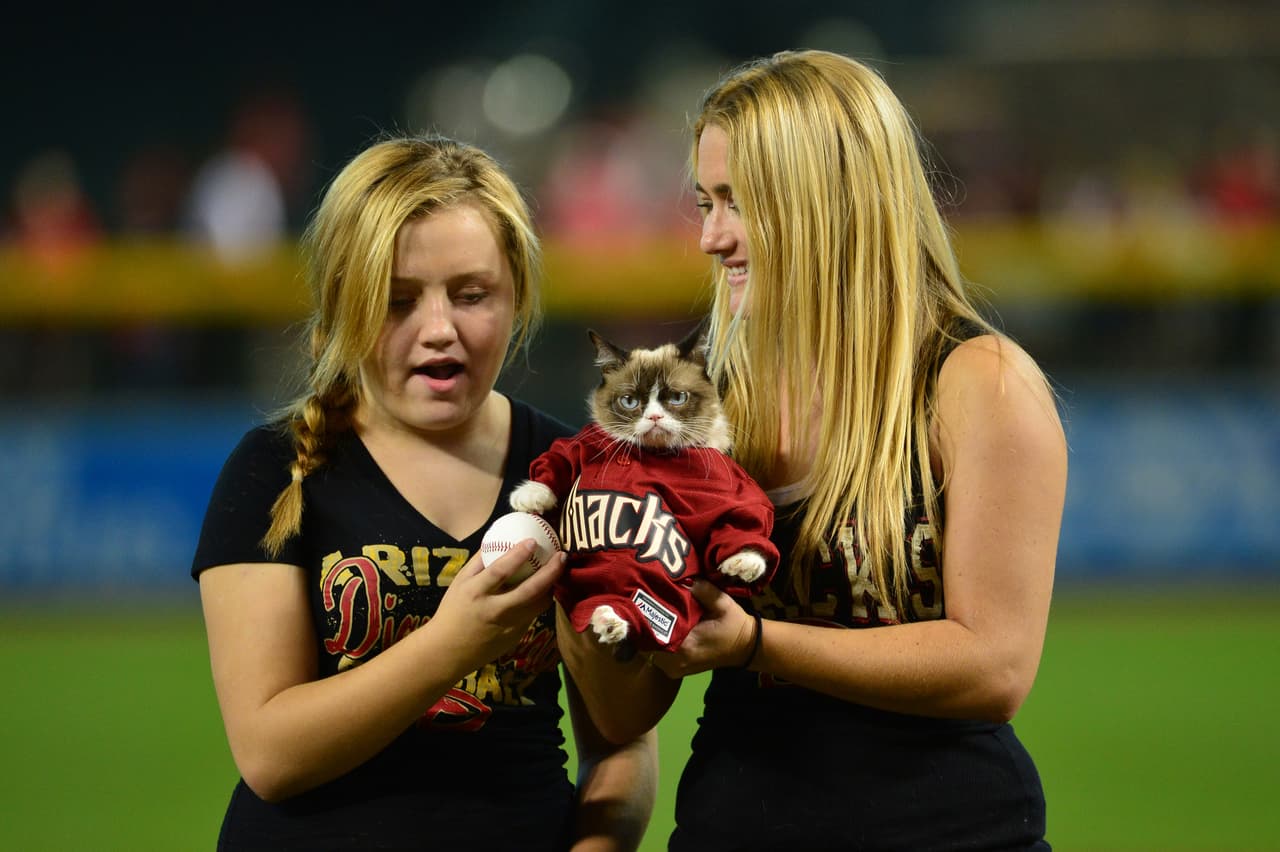 La felina no parecía muy contenta con el lanzamiento.