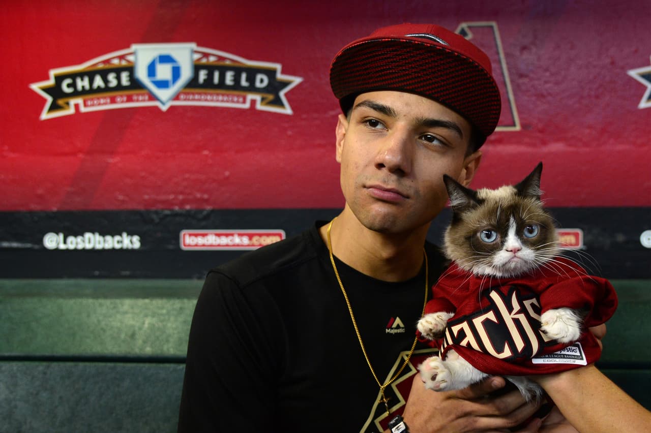 Luis Coronel no se resistió a los encantos de esta felina que desde 2012 se ha vuelto toda una celebridad por su carita de brava.