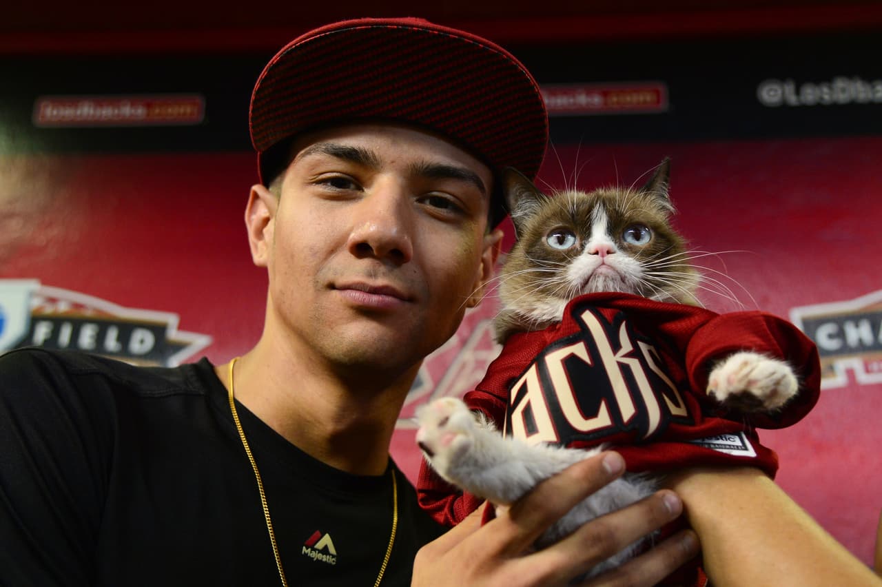 Hasta puso la misma cara de gruñón que Grumpy.