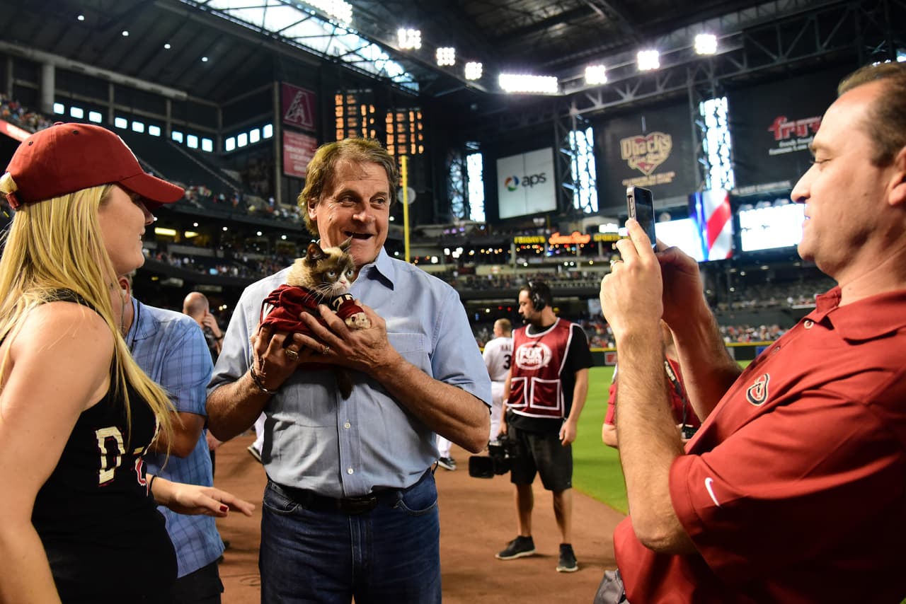 El Gato Gruñón o “Grumpy Cat” es una de las más grandes y conocidas celebridades nativas de Arizona.