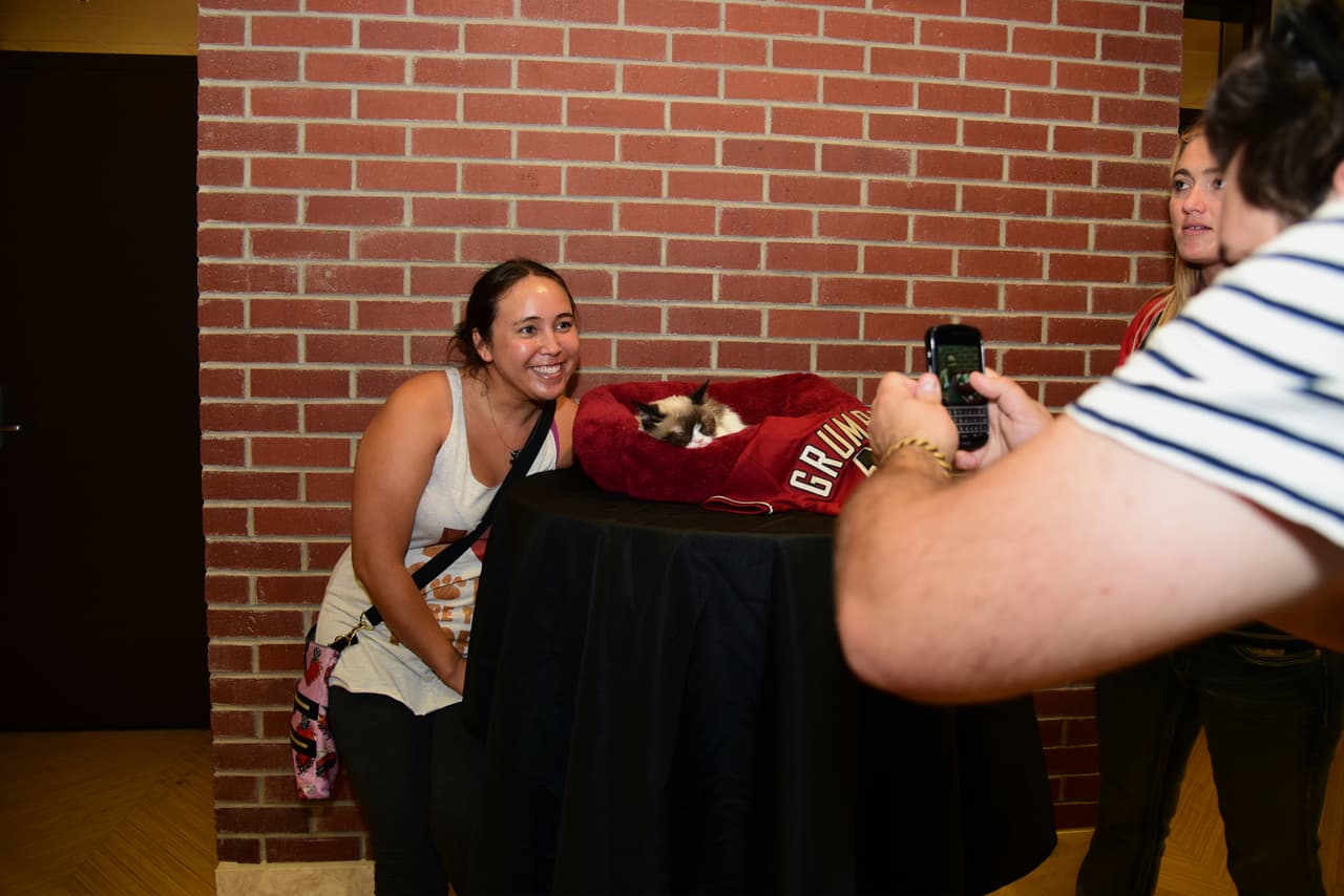 Como si fuese poco, es el gato vocero oficial de Friskies .