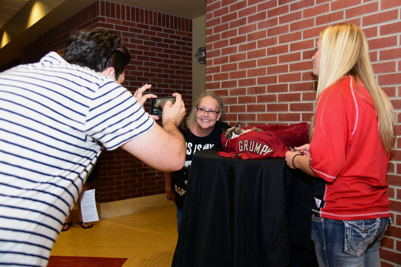 El Grumpy Cat dará a conocer una serie de cómics y tercer libro el próximo mes.