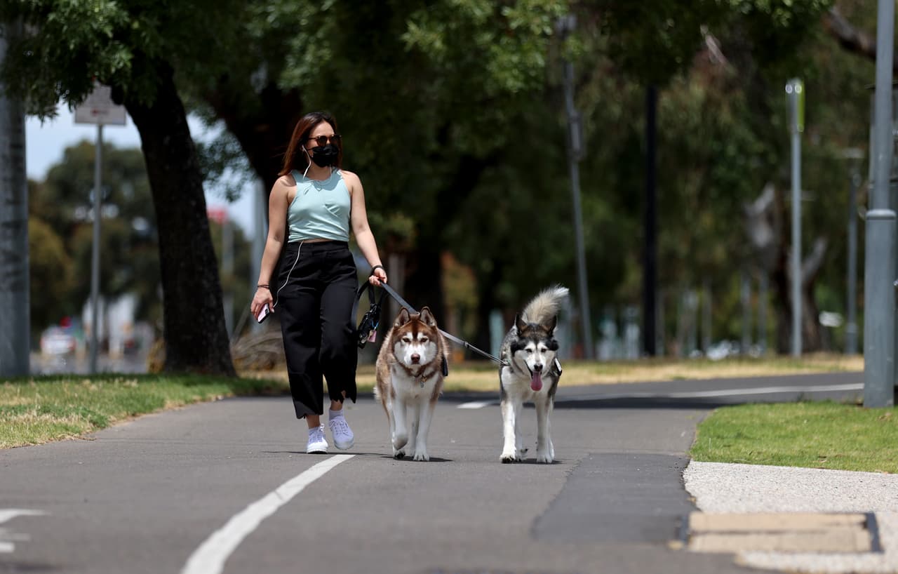 Ejercitarlos durante el día es también una buena idea, pues de esta forma en la noche ya estarán más cansados y dormirán más tranquilos. 
<br>
