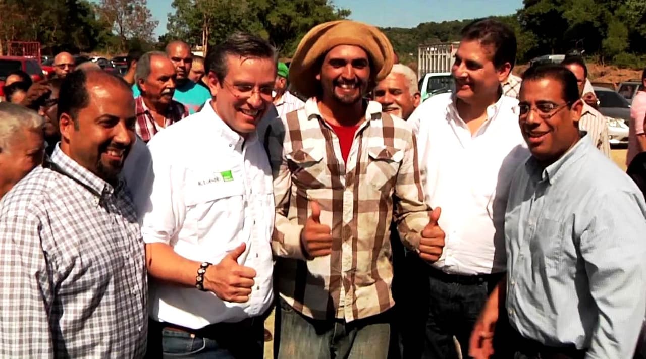 Impulsan proyecto de caña para producir ron en Puerto Rico