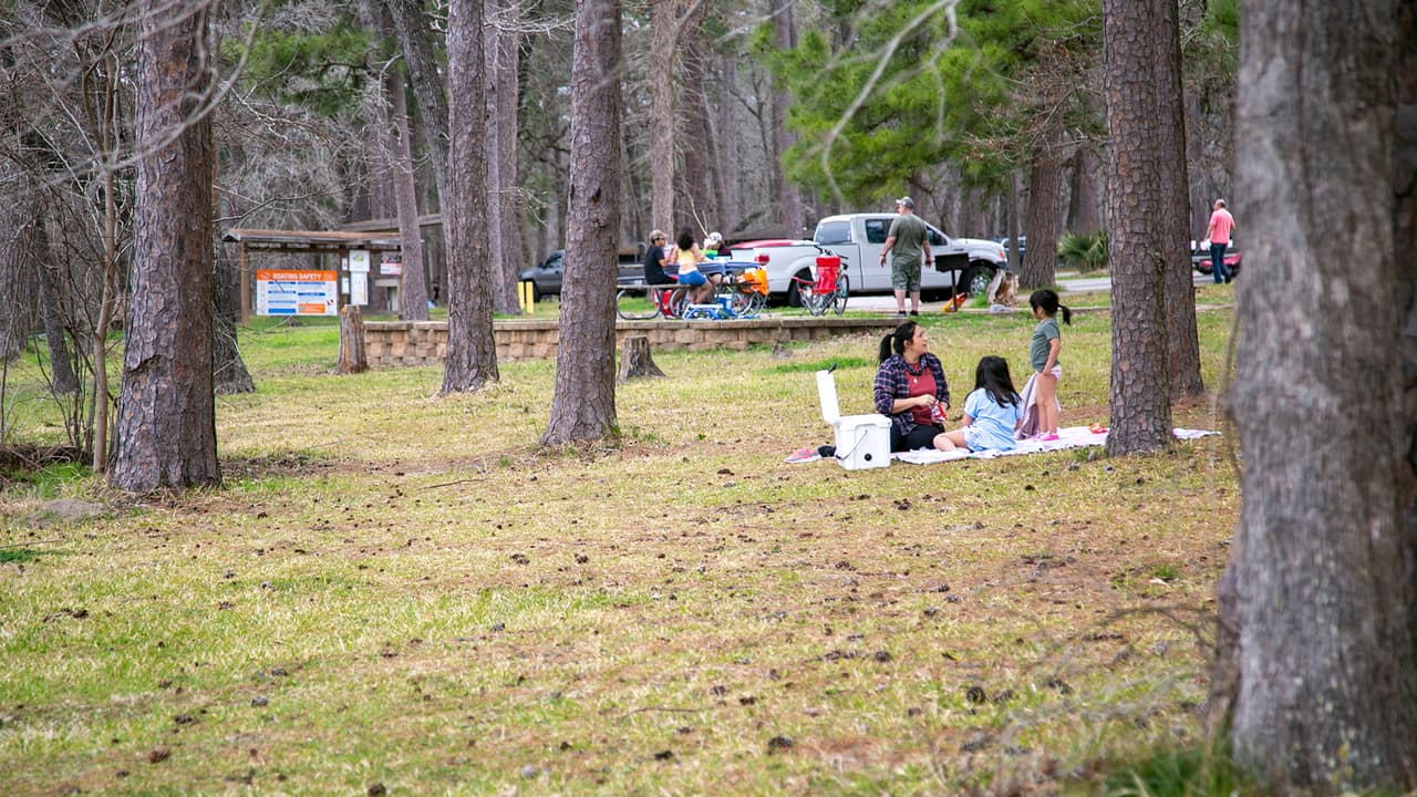 Las famillias podrán disfrutar de las áreas de juegos, un aviario y un centro natural.