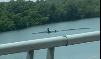 Avioneta cae en el Lady Bird Lake: una persona resulta herida 