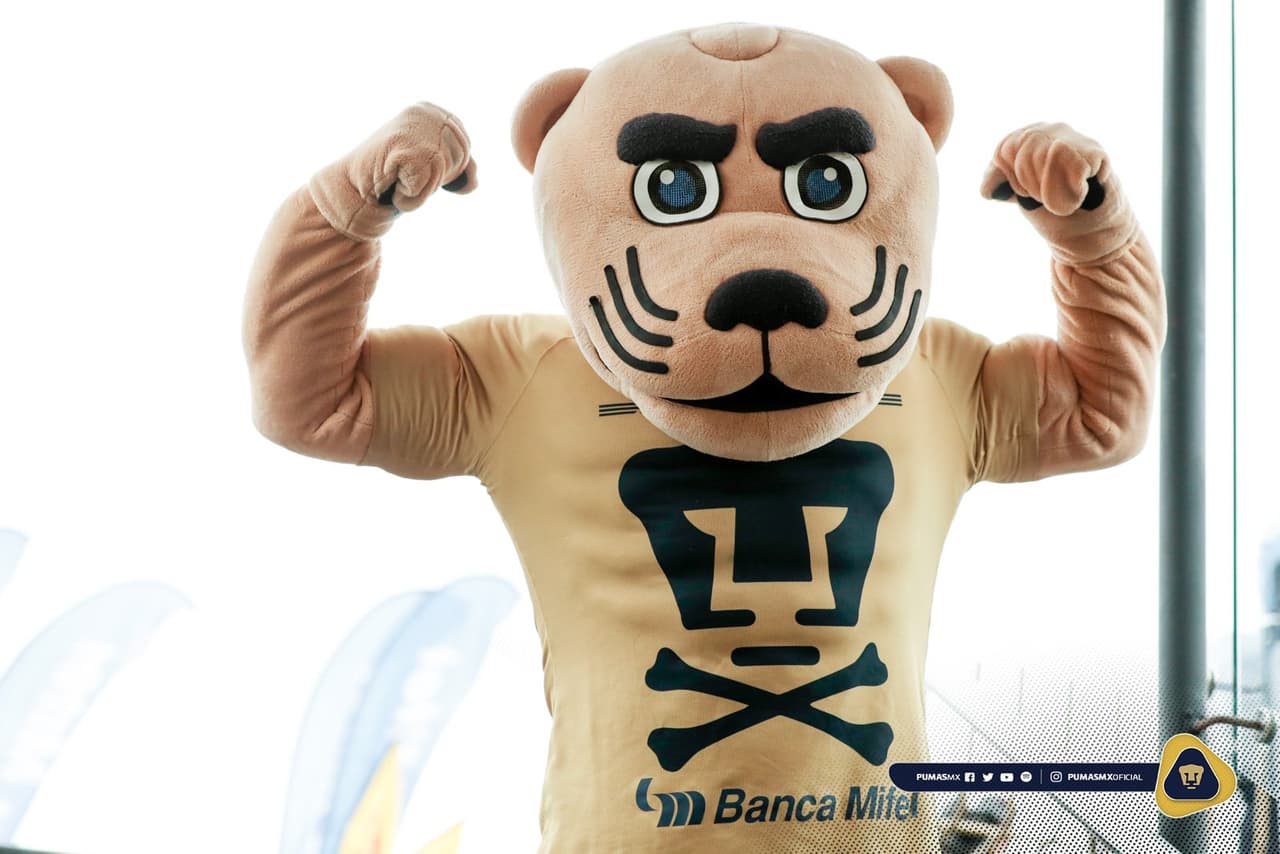 Los Pumas sacaron una edición en 2018 a los que se han ido.