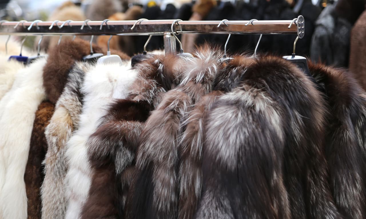 San Francisco ya prohibió la venta de ropa y productos con pieles animales