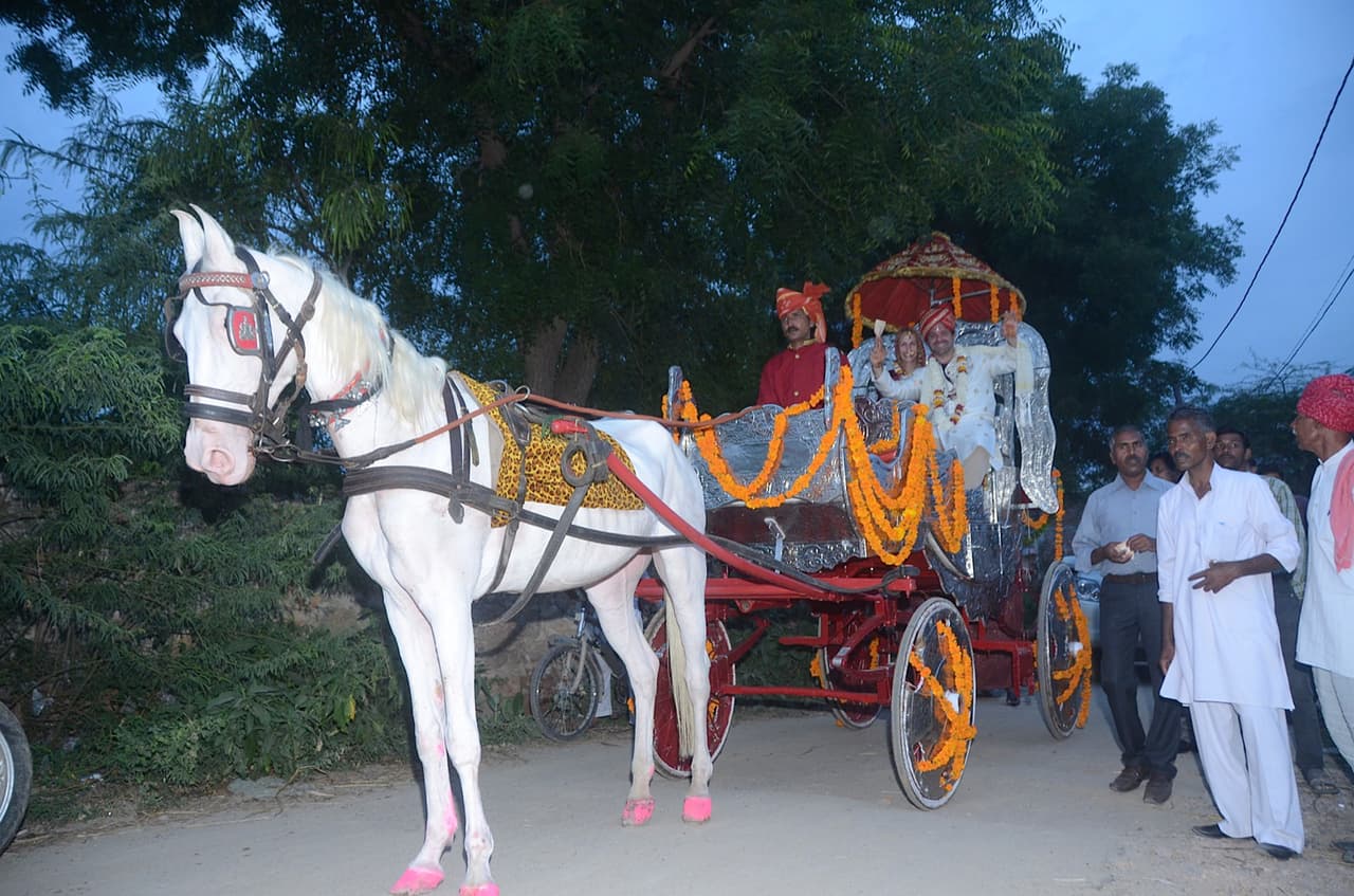 Mientras tanto los veremos compartir su amor con el resto del mundo. Literalmente.