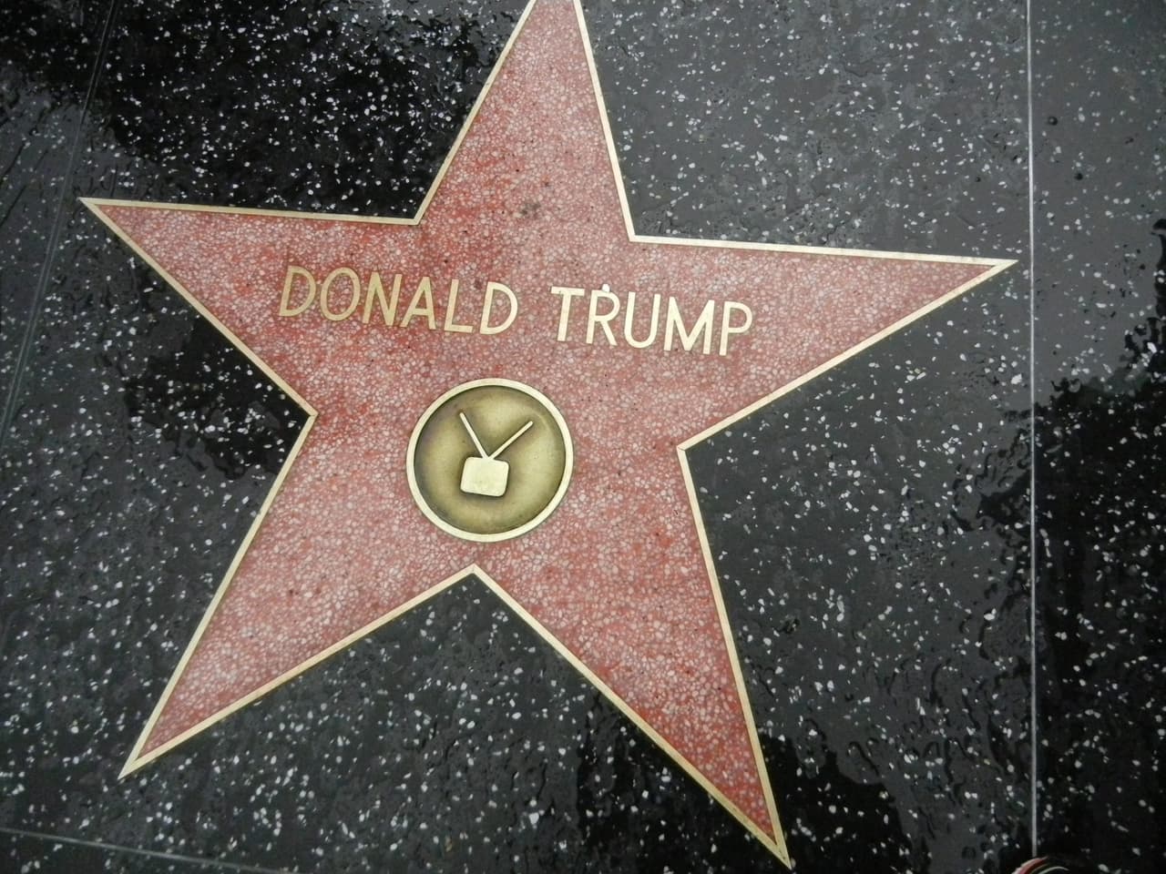 Crece demanda por retiro de la estrella de Donald Trump de Hollywood 