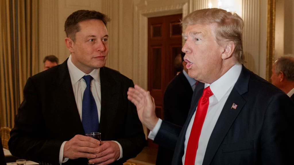 En un minuto: Trump designa a Elon Musk para codirigir el 'Departamento de Eficiencia Gubernamental'