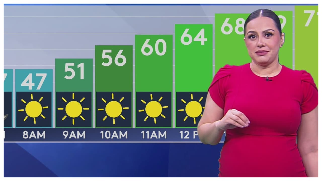 Pronóstico del tiempo hoy en Dallas: Temperaturas máximas de 80 °F y mínimas de 47 °F