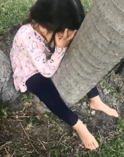 ¿Dónde está Giulietta? Esta princesita trata de esconderse.