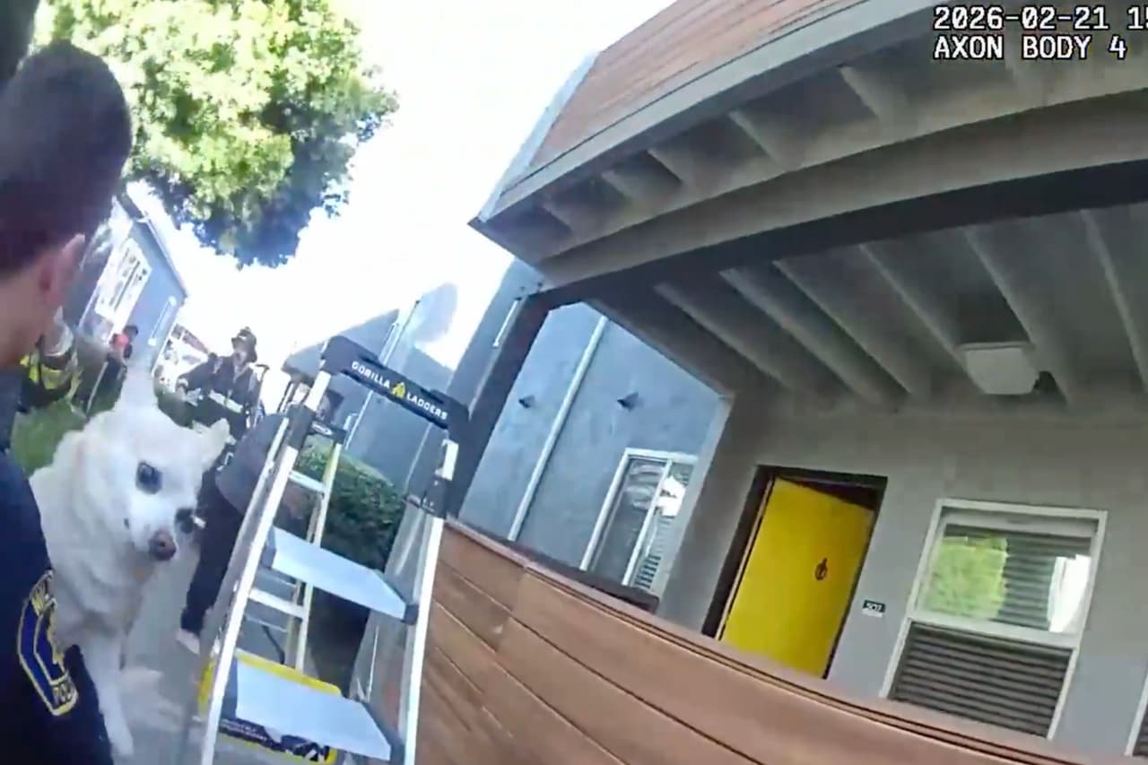 El perro de la familia también fue rescatado sano y salvo durante el incendio en el apartamento.