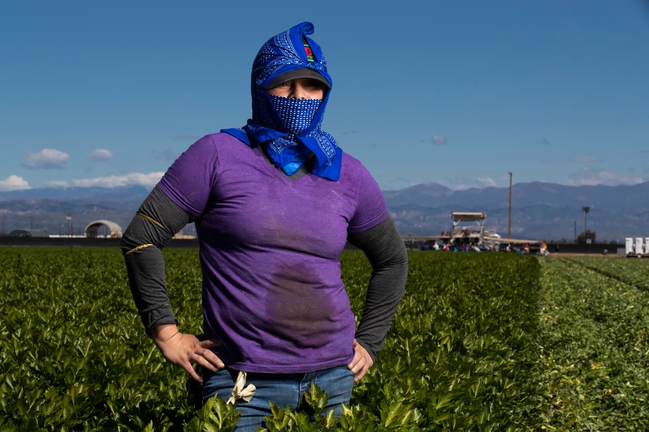 Juana González comenzó a trabajar en los campos de cultivo de California cuando tenía 18 años y ya lleva un década dedicándose a lo mismo. A ella, al igual que muchos de sus compañeros jornaleros, le preocupa contagiarse de coronavirus debido a la cercanía que tiene con otros trabajadores y las pocas protecciones con las que cuenta.