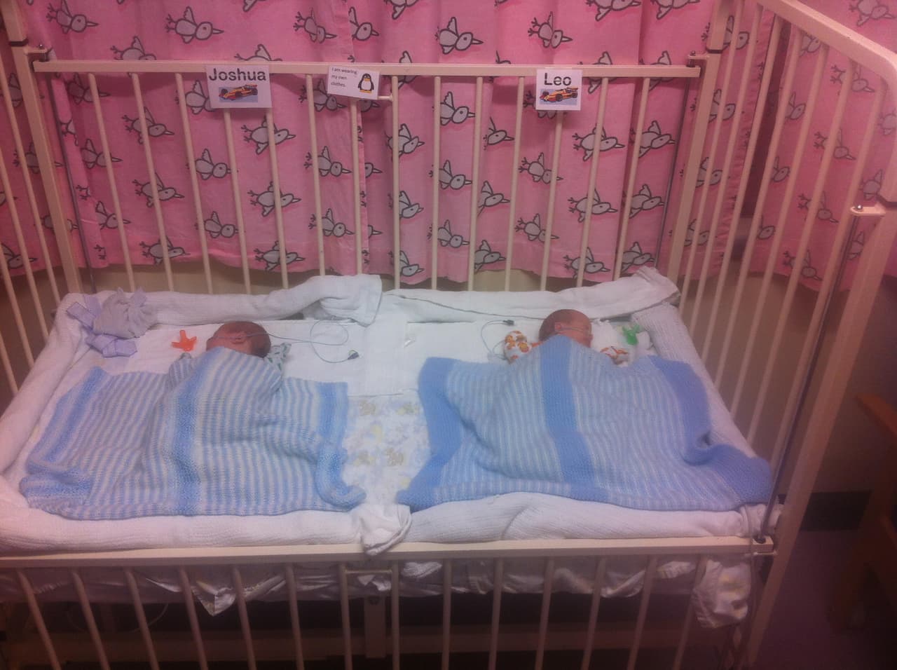 El síndrome es una enfermedad de la placenta. Significa que la placenta divide desigualmente a los bebés por nacer, dejando uno incapaz de recibir los nutrientes suficientes.