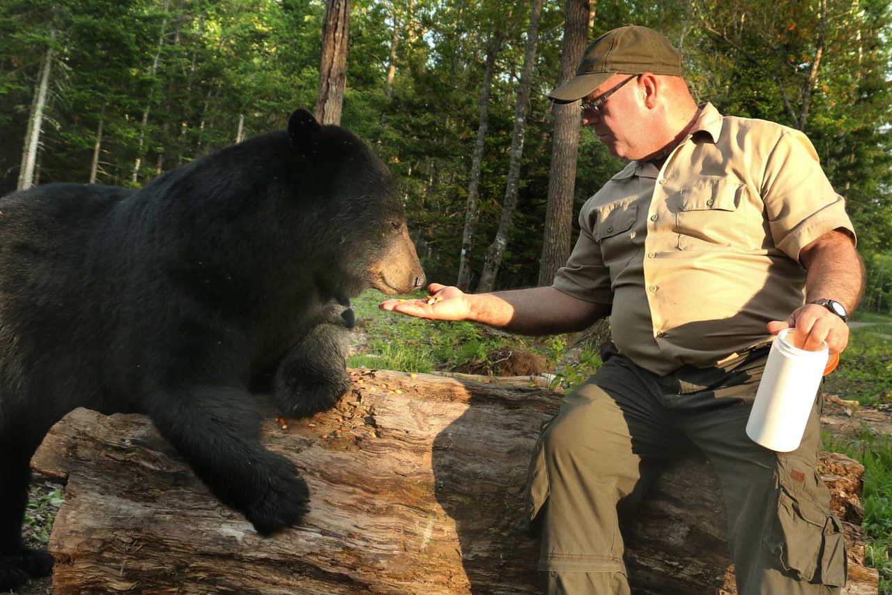 ¡Por eso es que puede acariciarlos y estar a su lado sin temor alguno!
