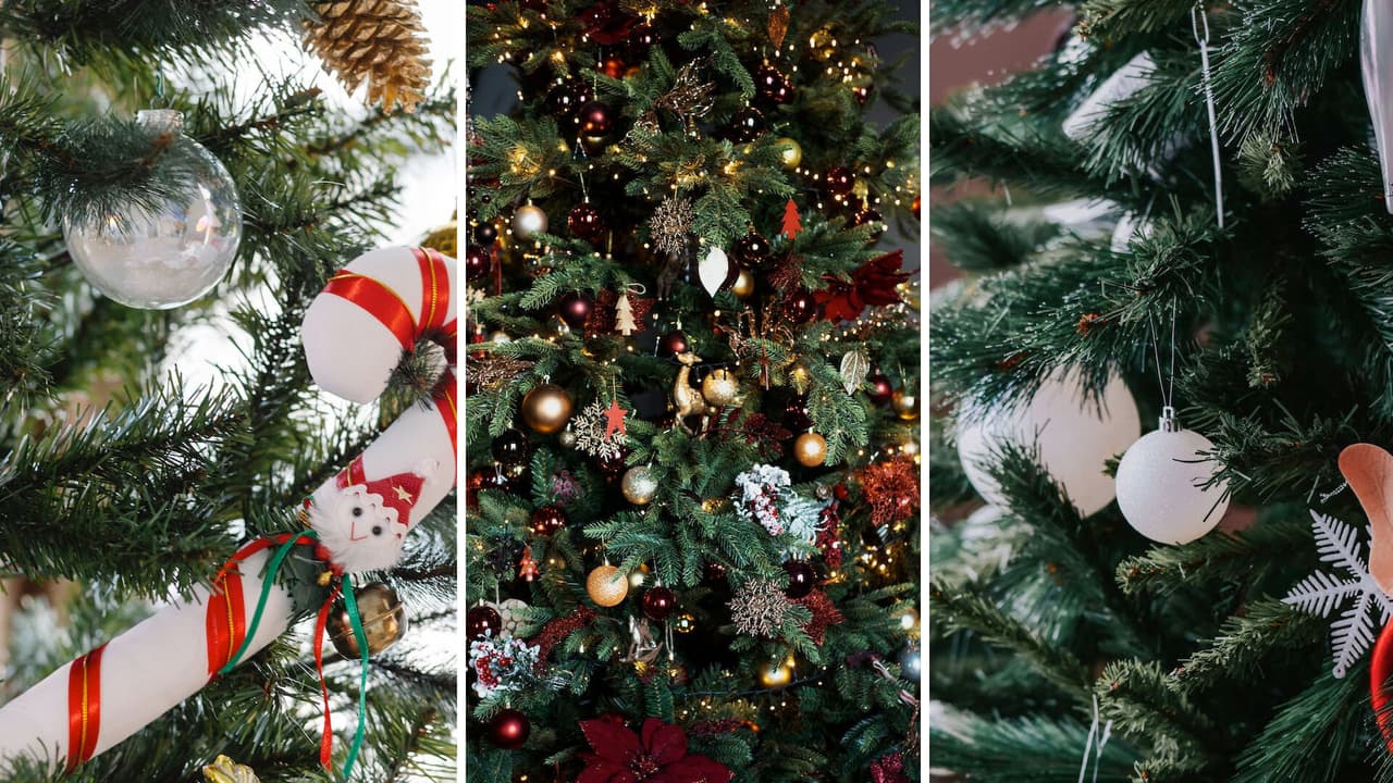 Adiós Navidad: ¿Dónde puedes llevar ahora tu arbolito en el norte de Texas?