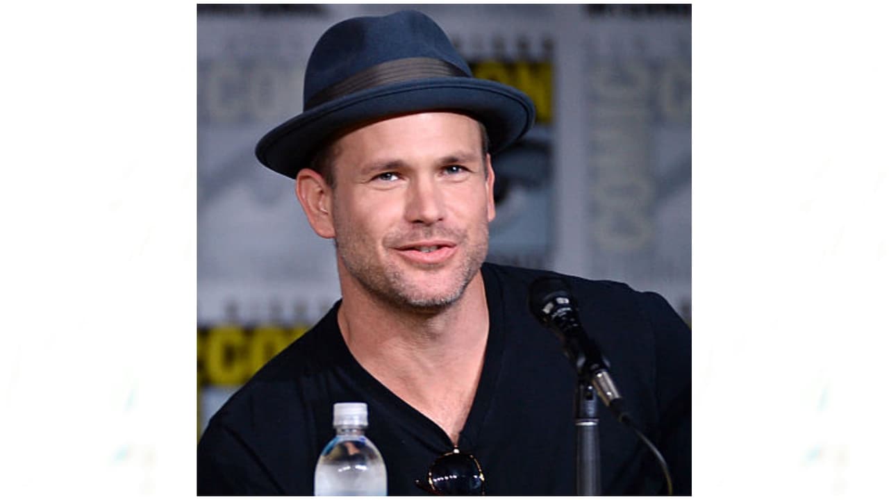 Si bien ha participado en algunas películas como 'Blue Crush' (2002) o 'Waiting for Forever' (2010), su carrera se ha enfocado más a la televisión. Del 2006 al 2007 fue Adam Hillman en 'What About Brian', para después darle vida a Alaric Saltzman en 'The Vampire Diaries', del 2009 hasta el 2017. Su crédito más reciente fue en la película para televisión 'Christmas Wishes & Mistletoe Kisses' del 2019.