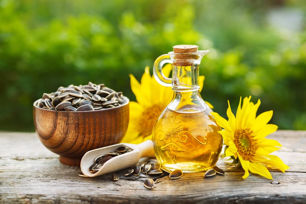 El alceite de girasol también es un excelente aceite de masaje para los rituales y tratamientos de corazón, especialmente con respecto al dolor y la tristeza. Alivia los desequilibrios relacionados con la pérdida, el duelo, el rechazo o la decepción amorosa.