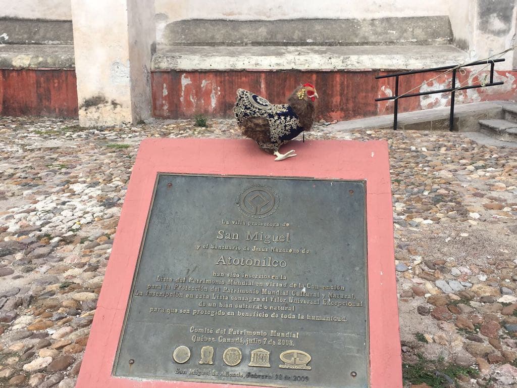 La Gallina Vidente pasó por el parque principal de San Miguel de Allende.
