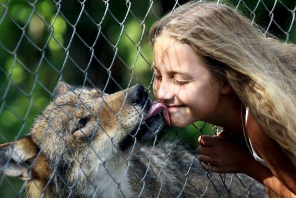Un beso no se le niega a nadie, mira este dulce peludo.