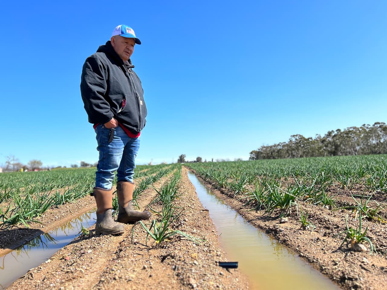Tormentas invernales causan estragos en el campo y pérdidas de empleo
