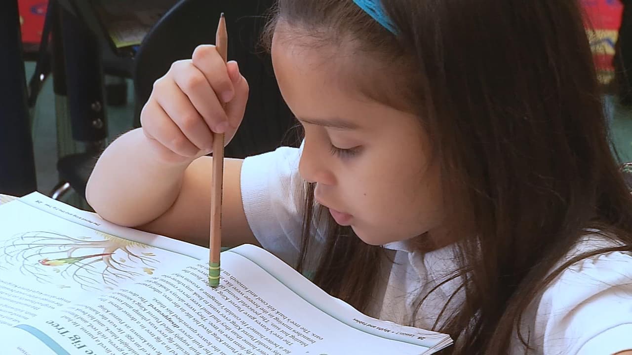 Arlette debe no solo aprender inglés desde cero, sino que además debe estar a la par de sus compañeros de grado nativos de Estados Unidos.