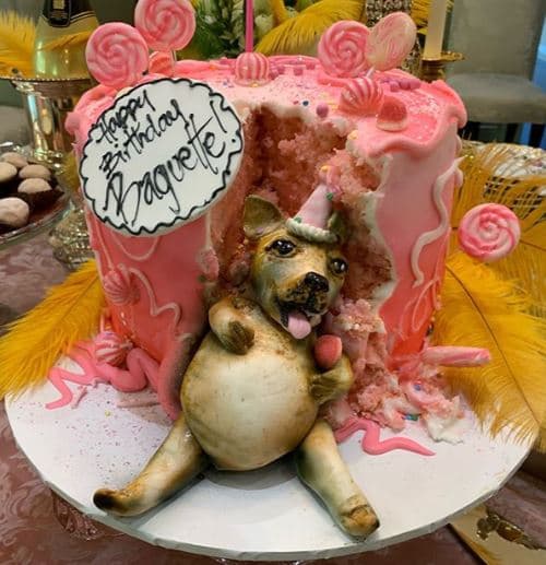 Así fue el exclusivo pastel con el que Sofía Vergara consintió a su mascota.