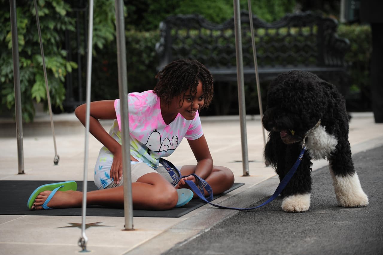 Así se divirtió con la mascota de la familia
