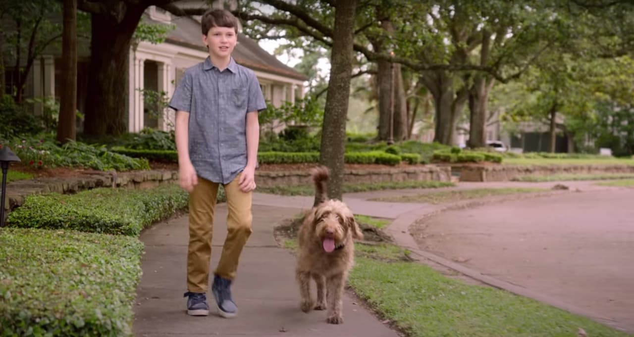 Películas de Netflix