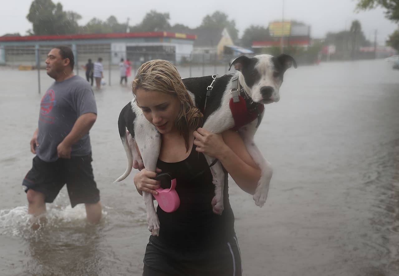 Muchos han escapado de la inundación con sus mascotas en brazos.