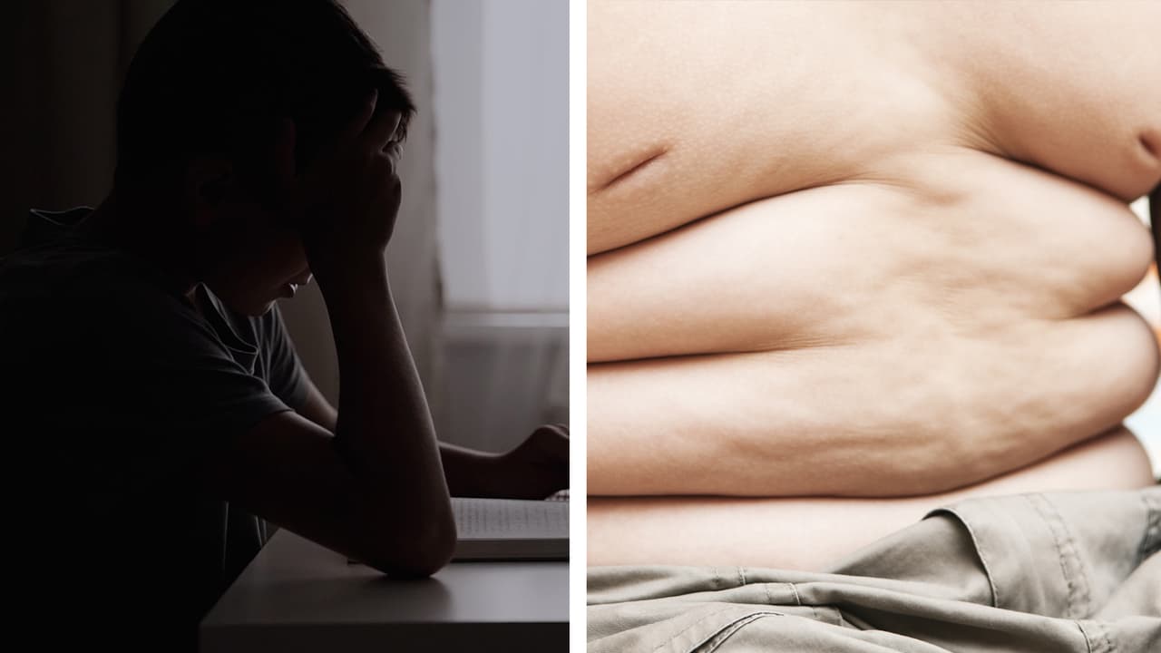 ¡Atención, padres! Controlar el colesterol y la presión arterial de los niños protege la salud cerebral 