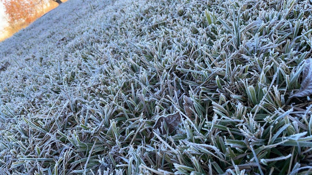 Usa un raspador de hielo para quitar la nieve y el hielo del parabrisas y todas las ventanas del vehículo. Esto mejorará su capacidad para ver a otros usuarios de la carretera que puedan interponerse en su ruta de viaje.