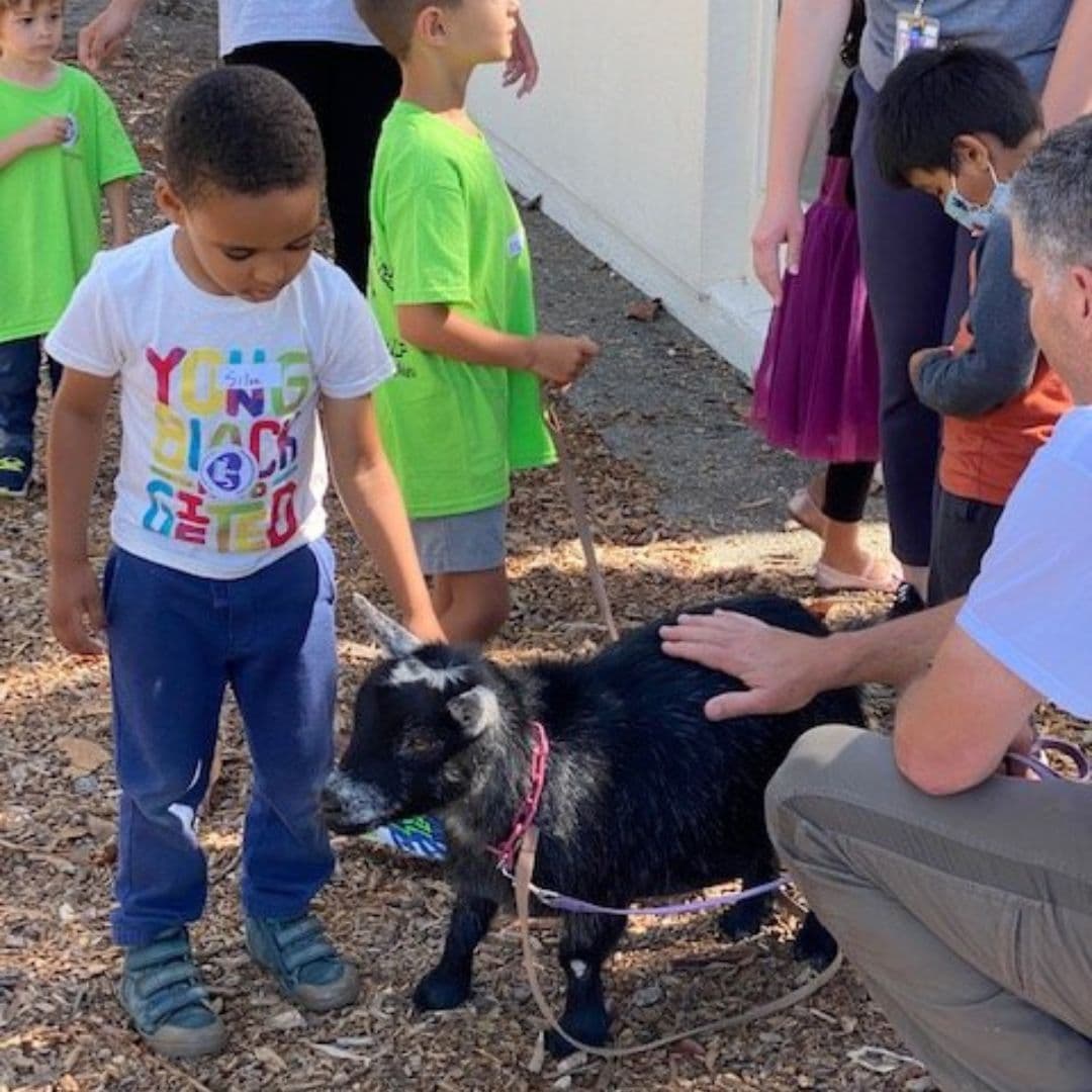 Para obtener más información o programar una visita, llama al (650) 887-0887 o envía un correo electrónico a info@smilefarm.org. Para donar, ser voluntario o realizar un recorrido virtual, visita https://animalassistedhappiness.org/.
<br>