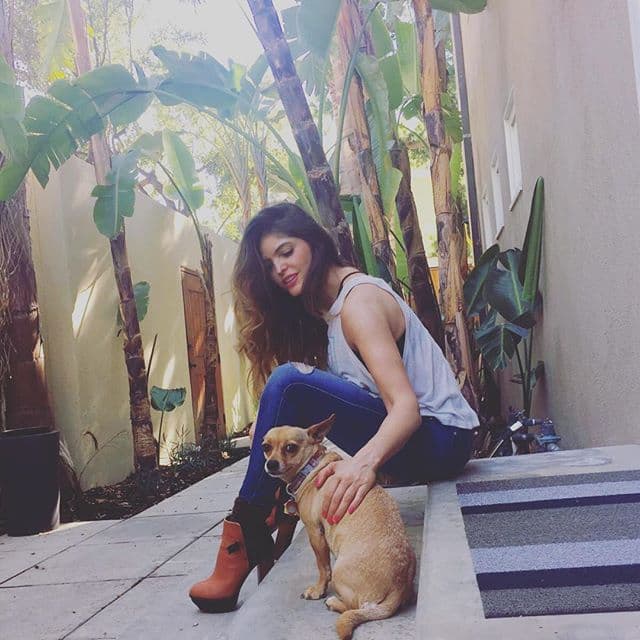 Por supuesto que las celebridades no se quedan atrás al dejarse envolver por el encanto de los canes.