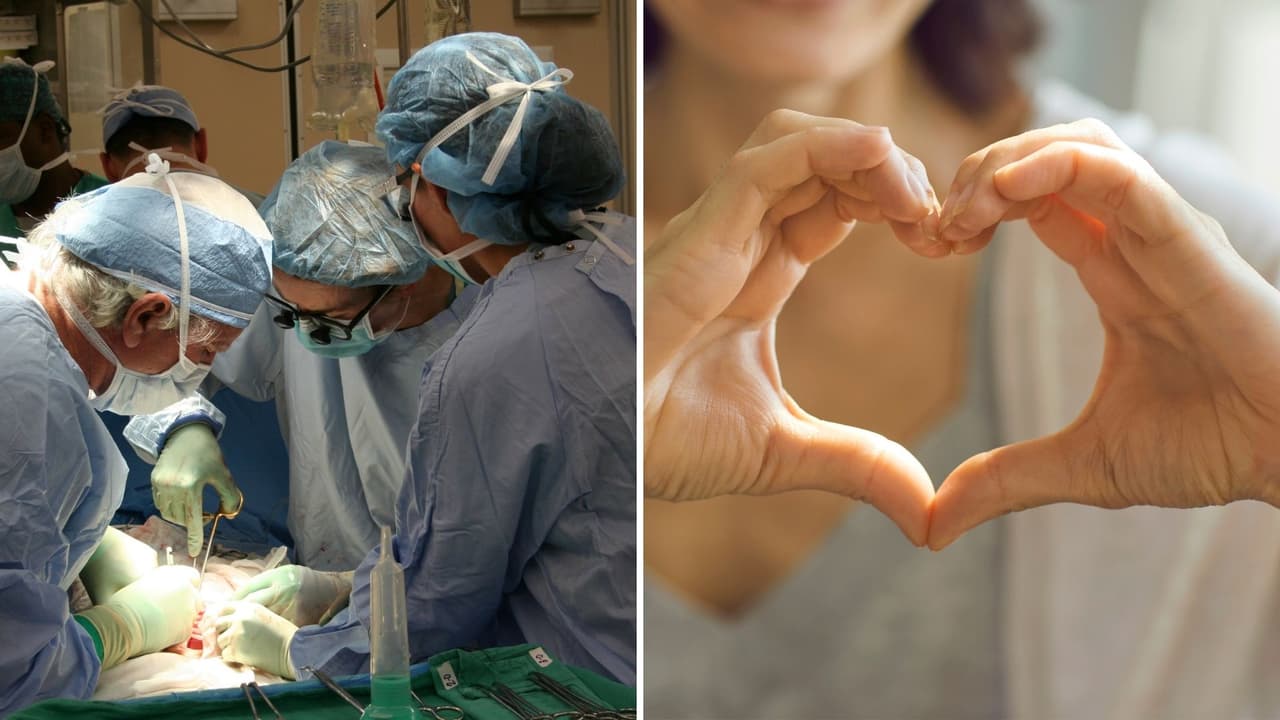 Donación de órganos: cómo ingresar a la lista de espera y cómo ser un donante