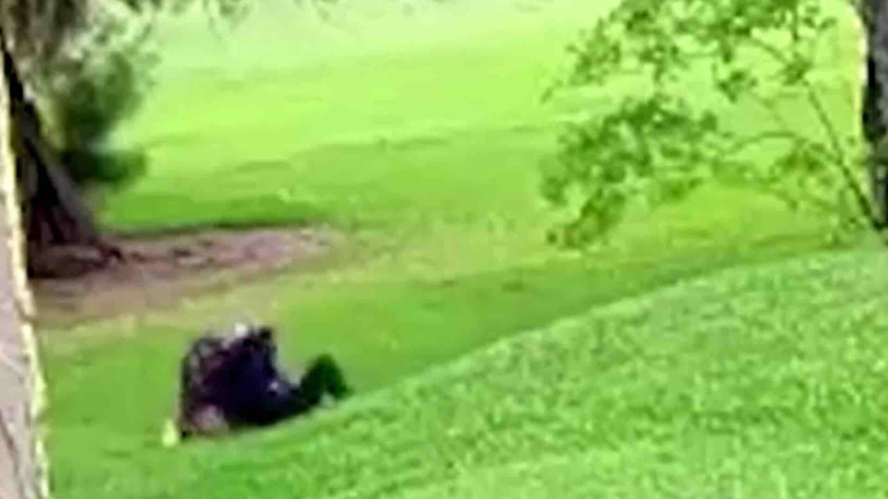 Ofrecen recompensa para capturar a hombre que se exhibió y agredió a una mujer en Weston