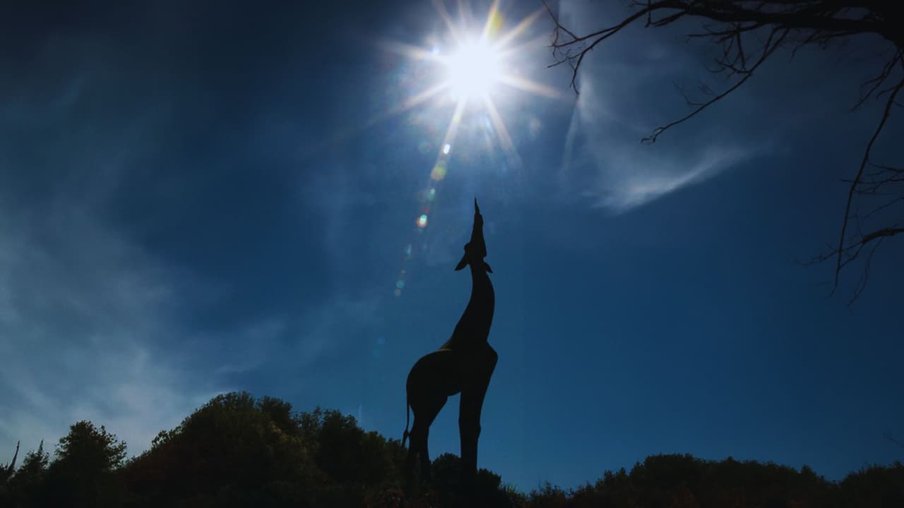 El Zoológico de Dallas invita a presenciar el eclipse solar total y 
<b>observar cómo reaccionan los animales ante este fenómeno único</b>. Tanto si eres un astrónomo experimentado, un aficionado al cosmos o simplemente tienes mucha curiosidad, este evento es para ti. 
<b>Desde las 9 de la mañana hasta las 5 de la tarde</b>, podrás disfrutar de una variedad de actividades especiales. 
<b>Los boletos tienen un precio desde $18 por persona</b> y 
<a href="https://www.dallaszoo.com/dallas-zoo-events/solar-eclipse-at-the-zoo/" target="_blank">están disponibles para su compra en el sitio web del zoológico</a>.