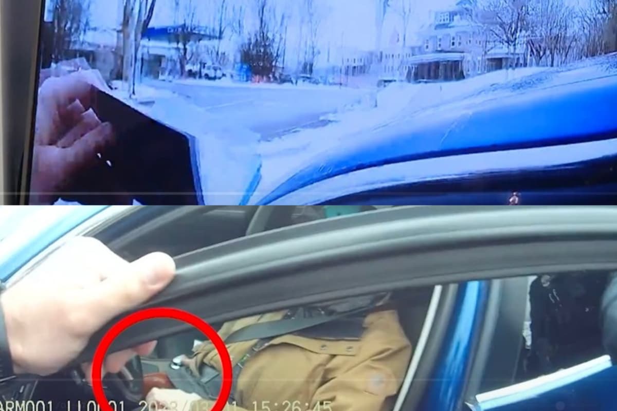 Durante el video se puede ver cuando uno de los oficiales le pide una identificación y Chase Allan le da su pasaporte, pero él jamás se bajó de su automóvil y sólo decía: "No respondo preguntas".