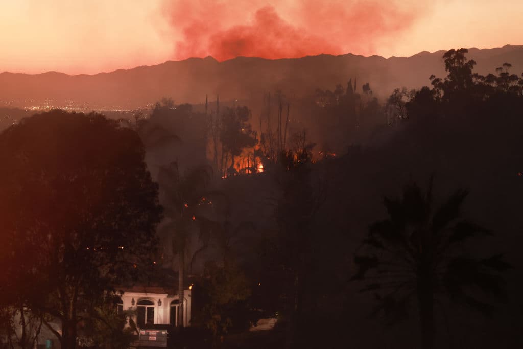 "Eventos trágicos como este nos sirven para recordar por qué los fuegos artificiales son ilegales en nuestra comunidad", declaró la alcaldesa de Riverside.