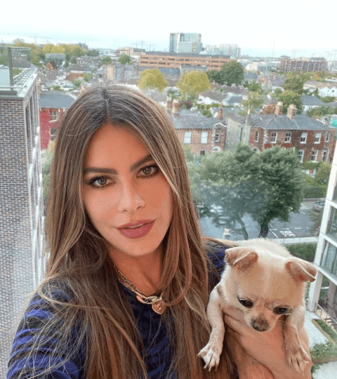 La 
<a href="https://www.univision.com/famosos/sofia-vergara-posa-sin-ropa-dia-nacional-del-cafe">modelo colombiana</a> suele recibir elogios por su belleza y autenticidad; sin embargo, parece ser que a ella le preocupa un poco el paso de los años.