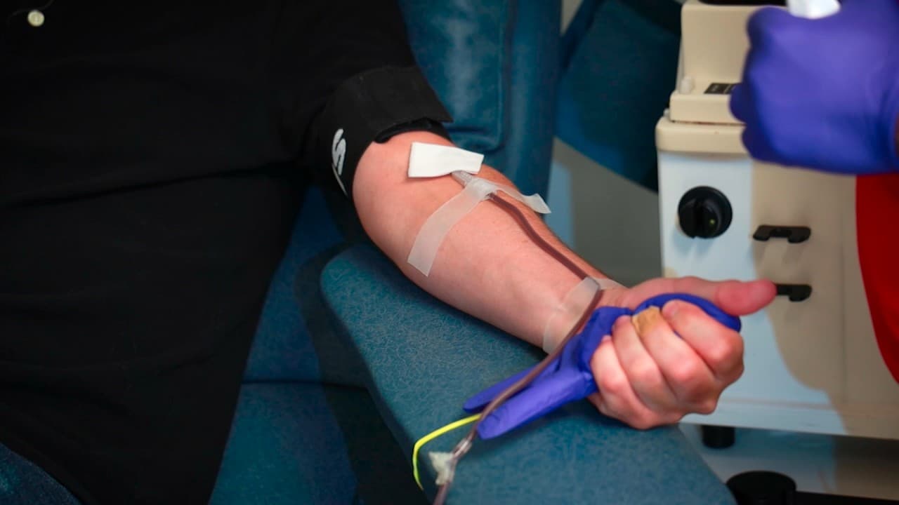 Donación de sangre: proceso, requisitos y centros de la Cruz Roja para hacerlo